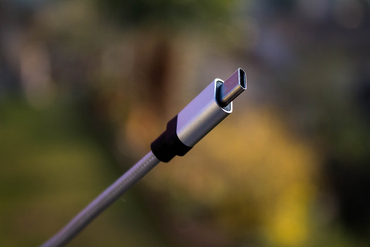 關於秦的Type C接口充電能力探討